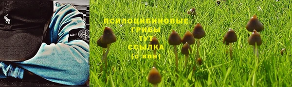 дурь Алексеевка