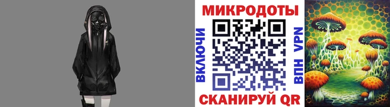 сколько стоит  Кочубеевское  KRAKEN маркетплейс  Псилоцибиновые грибы мицелий 
